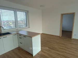 Pronájem bytu 4+kk, Hodonín, Žižkova, 93 m2