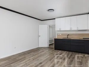 Pronájem bytu 1+kk, Praha - Smíchov, Pod Barvířkou, 36 m2