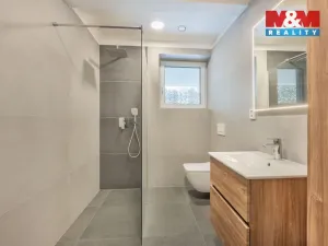 Prodej rodinného domu, Zbuzany, U Menhiru III, 150 m2