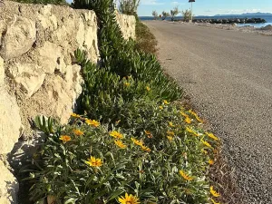 Prodej vily, Vir, Chorvatsko, 129 m2