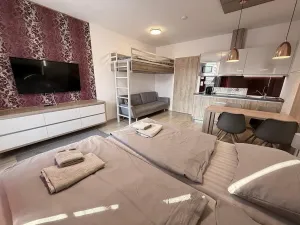 Prodej bytu 1+kk, Dolní Morava - Velká Morava, 54 m2