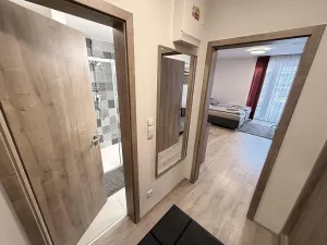 Prodej bytu 1+kk, Dolní Morava - Velká Morava, 54 m2