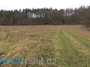 Prodej pole, Srby, 24690 m2