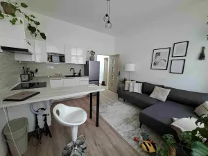 Pronájem bytu 2+kk, Praha - Žižkov, Hartigova, 45 m2