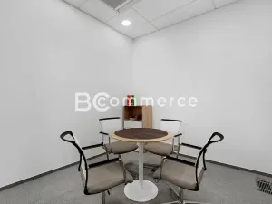 Pronájem kanceláře, Brno, 310 m2