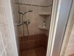 Pronájem rodinného domu, Ostrava, Křížkovského, 300 m2