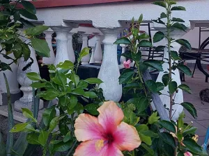 Prodej rodinného domu, Scalea, Kalábrie, Itálie, 68 m2