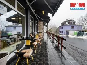 Prodej obchodního prostoru, Kraslice - Tisová, 560 m2