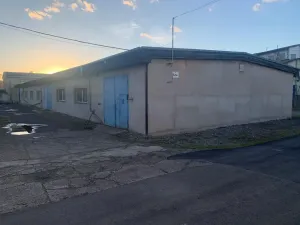 Pronájem výrobních prostor, Ústí nad Labem, U Tonasa, 1248 m2