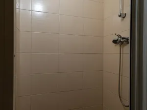 Pronájem bytu 1+1, Ostrava, Palackého, 41 m2