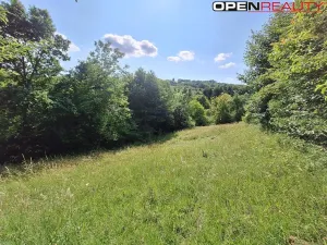 Prodej rodinného domu, Žítková, 80 m2