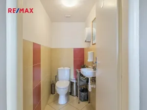 Pronájem komerční nemovitosti, Praha - Nusle, Bohuslava ze Švamberka, 11 m2