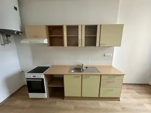 Pronájem bytu 1+1, Děčín, Podmokelská, 40 m2