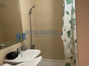 Pronájem bytu 1+1, České Budějovice, Prachatická, 31 m2