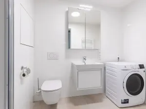 Pronájem bytu 1+kk, Brno, Lidická, 41 m2