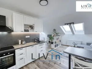 Pronájem bytu 1+kk, Olomouc, tř. Svornosti, 45 m2