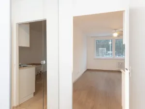 Pronájem bytu 1+kk, Praha - Hodkovičky, Pod lysinami, 29 m2
