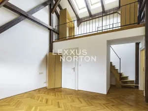 Pronájem bytu 4+1, Praha - Vinohrady, Ibsenova, 282 m2