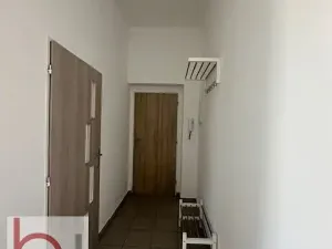 Pronájem bytu 1+1, České Budějovice, Matice školské, 38 m2