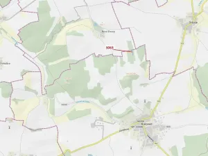 Dražba lesa, Koloveč, 703 m2