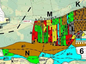 Dražba lesa, Hosty, 1707 m2