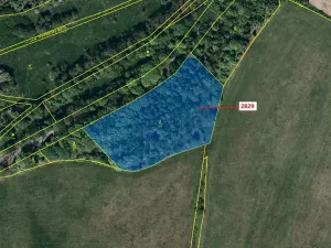 Dražba lesa, Budišov nad Budišovkou, 7776 m2