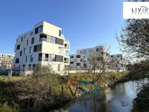 Pronájem bytu 2+kk, Olomouc, Ostrovní, 65 m2