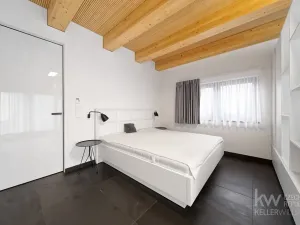 Prodej rodinného domu, Loučná pod Klínovcem, 486 m2