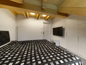 Prodej rodinného domu, Loučná pod Klínovcem, 486 m2