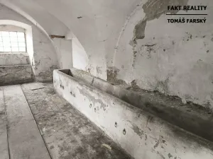 Pronájem obchodního prostoru, Býčkovice, 100 m2