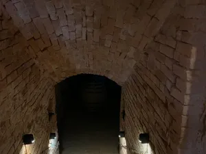 Prodej vinného sklepa, Čejkovice, 66 m2