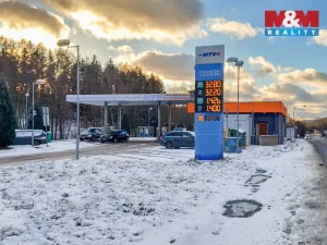 Prodej obchodního prostoru, Nová Role - Mezirolí, 120 m2