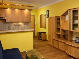 Pronájem bytu 1+kk, Strakonice - Přední Ptákovice, Šumavská, 25 m2