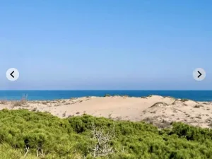 Prodej bytu 3+1, Guardamar Del Segura, Costa Blanca, Provincie Alicante, Španělsko, 52 m2