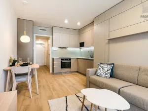 Pronájem bytu 1+kk, Brno, Bystrcká, 30 m2