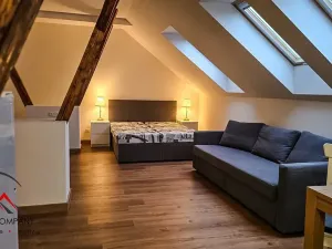 Pronájem apartmánu, Ostrava, Cihelní, 38 m2