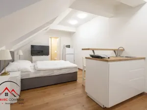 Pronájem apartmánu, Ostrava, Cihelní, 23 m2