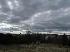 Pronájem chaty, Brno, Kostelní zmola, 40 m2