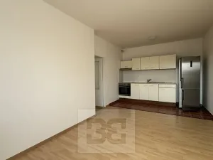 Pronájem bytu 3+kk, Brno, Svitavské nábřeží, 60 m2