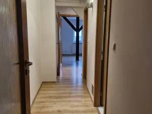 Pronájem bytu 2+kk, Praha - Bubeneč, Malířská, 95 m2