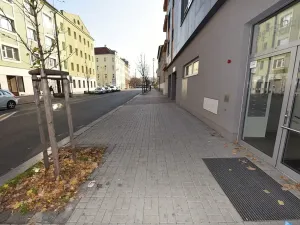 Prodej bytu 2+kk, Praha - Vršovice, Petrohradská, 114 m2