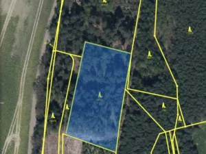 Prodej lesa, Veliny, 4517 m2