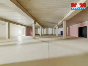 Pronájem výrobních prostor, Cheb, Karlova, 2200 m2