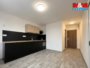 Pronájem bytu 1+1, Liberec - Liberec VI-Rochlice, Gagarinova, 36 m2