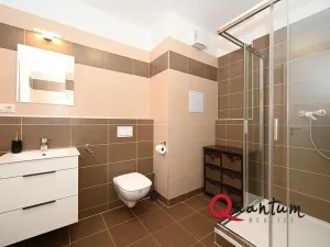 Pronájem bytu 1+kk, Praha - Žižkov, Olgy Havlové, 38 m2