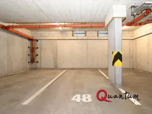 Pronájem bytu 1+kk, Praha - Žižkov, Olgy Havlové, 38 m2