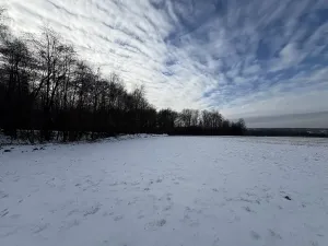 Prodej louky, Bruzovice, 94427 m2