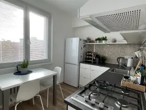 Pronájem bytu 1+1, Ostrava, Opavská, 35 m2