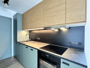 Pronájem rodinného domu, Hradec Králové, Přemyslova, 53 m2