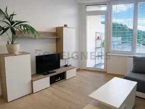 Pronájem bytu 1+kk, Brno, Vídeňská, 32 m2